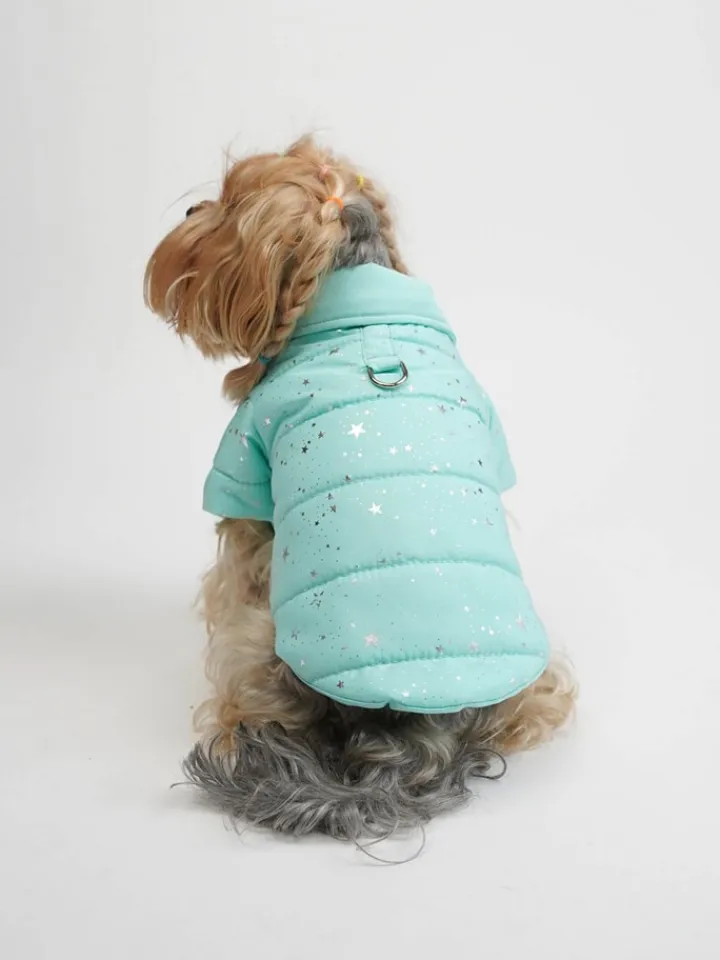 Paws&Whiskers Hunde<Hundehoodie in Türkis