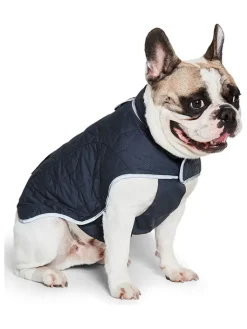 VOV & VUF Hunde<Hundemantel in Dunkelblau