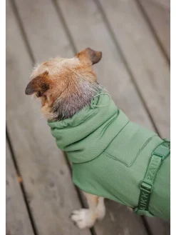 Paikka Hunde<Hunde-Trockenmantel "2Go" in Grün