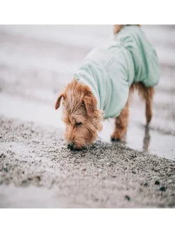 Paikka Hunde<Hunde-Trockenmantel in Hellgrün