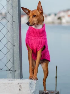 Paikka Hunde<Hunde-Wollpullover in Pink