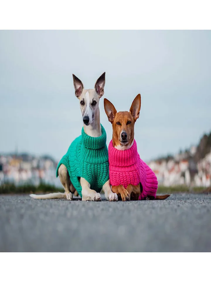 Paikka Hunde<Hunde-Wollpullover in Pink