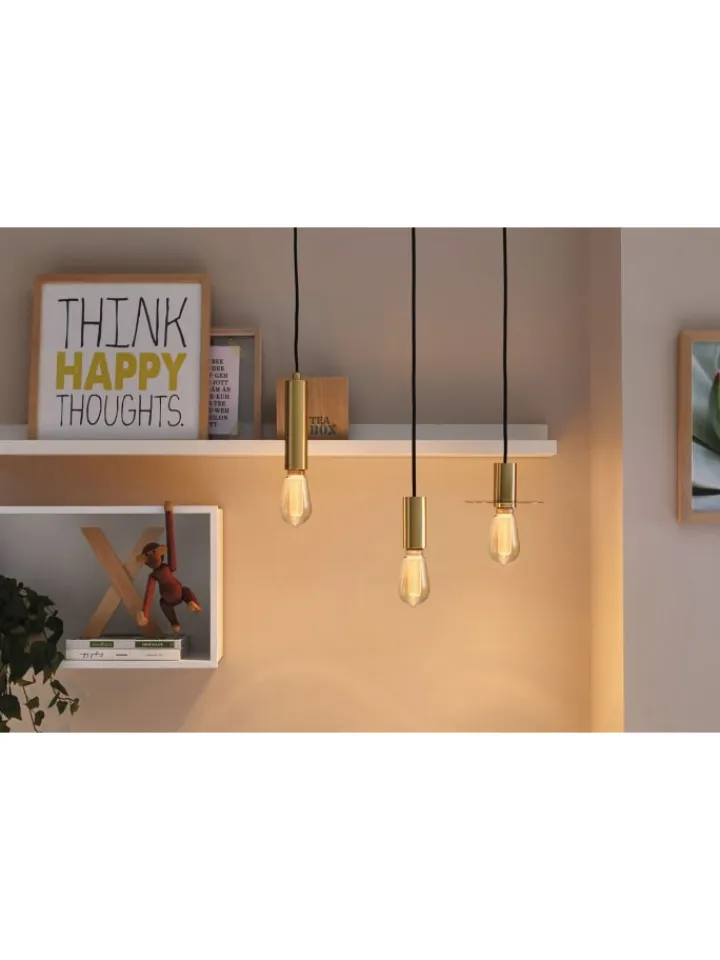 paulmann Leuchtmittel<Inner Glow Edition LED Kolben Arc