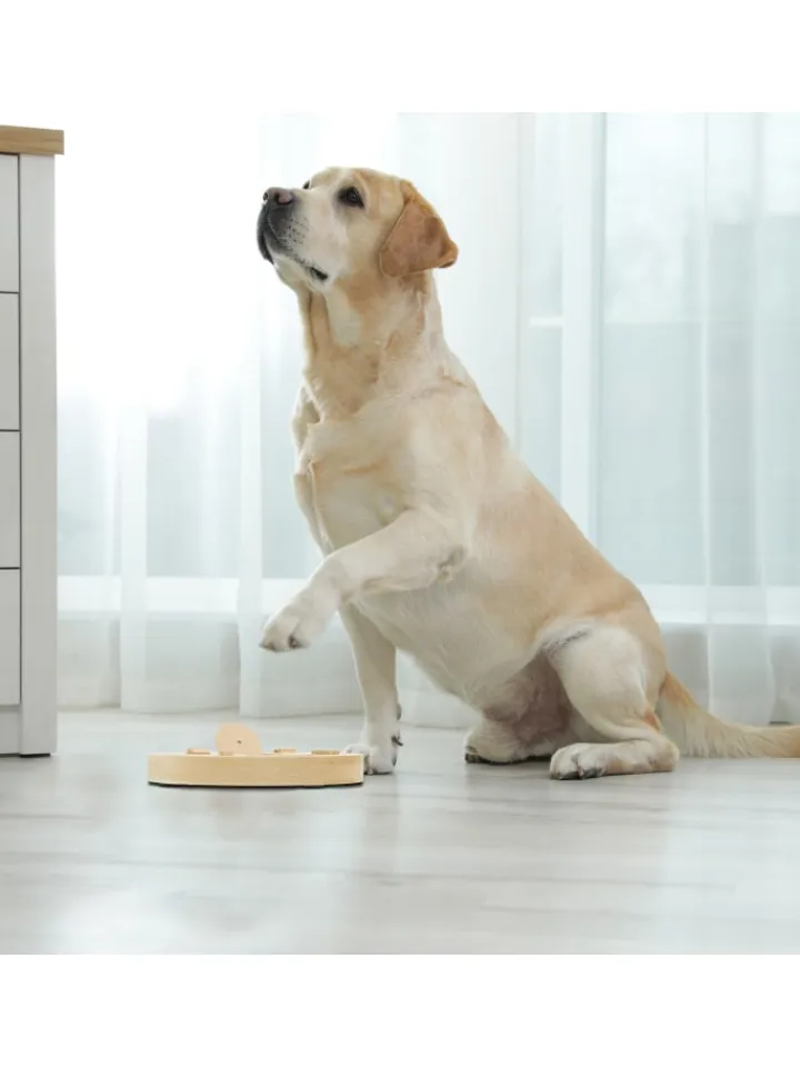 relaxdays Hunde<Intelligenzspielzeug in Natur