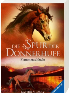 Ravensburger Bücher<Jugendroman "Die Spur der Donnerhufe, Band 1: Flammenschlucht"