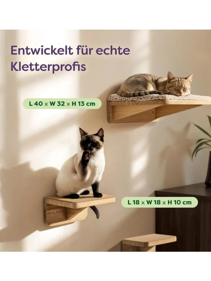 Knupis Katzen<Katzen Kletterwand Set mit Katzenbett & 2X Katzentreppe - Kiefernholz