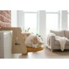 Paws&Whiskers Katzen<Katzenbett "Riana" in Senf - (L)35 x (B)52 cm