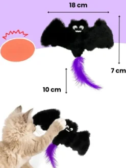 Paws&Whiskers Katzen<Katzenspielzeug in Schwarz - (L)17 x (B)18 cm