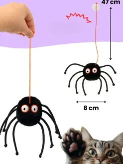 Paws&Whiskers Katzen<Katzenspielzeug in Schwarz - (L)17 x (B)18 cm