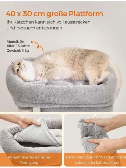 SONGMICS Katzen<Kratzbaum in Hellgrau - (B)54 x (H)67 x (T)34 cm