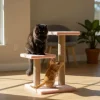 Paws&Whiskers Katzen<Kratzbaum ''Luizi'' in Rosa - (B)35 x (H)44 x (T)28 cm