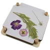 BLS Kreativbedarf & Do-It-Yourself<Kreativset "Blumenpresse" - (L)15 x (B)15 cm