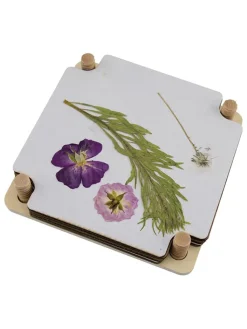 BLS Kreativbedarf & Do-It-Yourself<Kreativset "Blumenpresse" - (L)15 x (B)15 cm