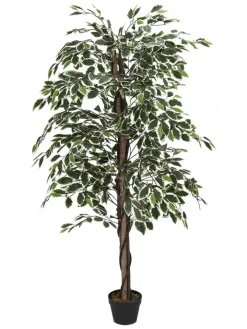Garden Spirit Kerzen, Vasen & Mehr<Kunstpflanze in Grün - (B)80 x (H)170 cm