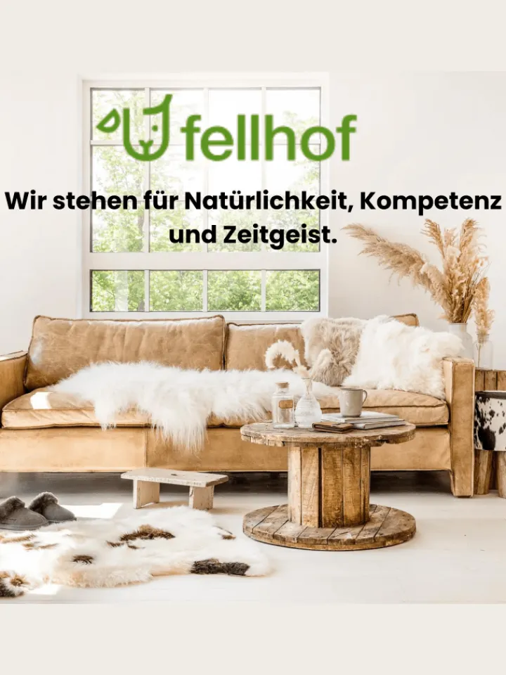 Kinderhaus Blaubär Lammfelle & Co<Lammfellbürste mit Reinigungskamm TOP