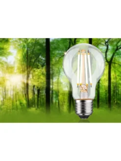 paulmann Leuchtmittel<LED Eco-Line AGL E27 1055lm 5,7W 3000K 3step dim klar 230V B