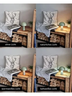 Coen Bakker Tischleuchten<LED Pilz Tischlampe dimmbar Touch Farbwechsler IP44 Innen Außen 15x21cm Grün