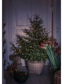 Konstsmide Lichterketten & Deko-Leuchten<LED-Baummantel in Bernstein