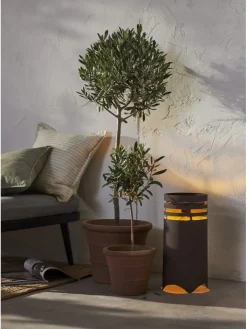 STAR Trading Außenbeleuchtung<LED-Solar-Dekoration "Marron" in Braun - (B)18,5 x (H)40 cm