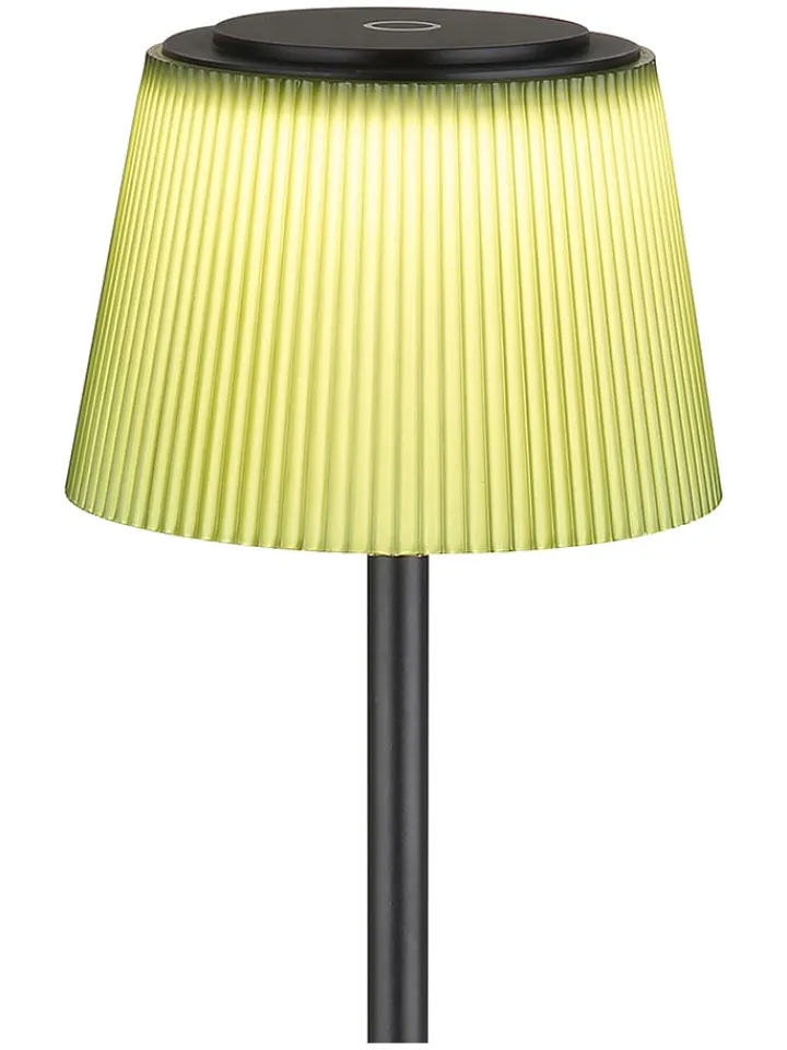 Globo lighting Stehleuchten<LED-Standleuchte in Schwarz/ Dunkelgrün - (H)120 cm