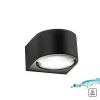 Paul Neuhaus Wandleuchten<LED-Wandleuchte in Schwarz - (H)6,8 x Ø 11