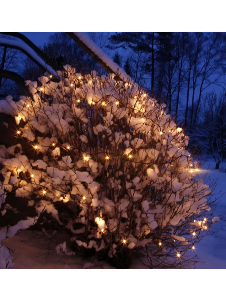 STAR Trading Lichterketten & Dekobeleuchtung<Lichterkette ,START', System 24, 49 LEDs, mit Trafo, warmweiß, 5m, 1W