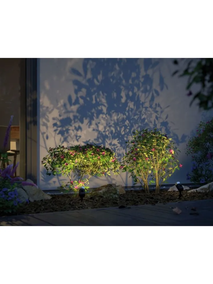paulmann Außenleuchten<Plug & Shine LED Gartenstrahler Pike Basisset