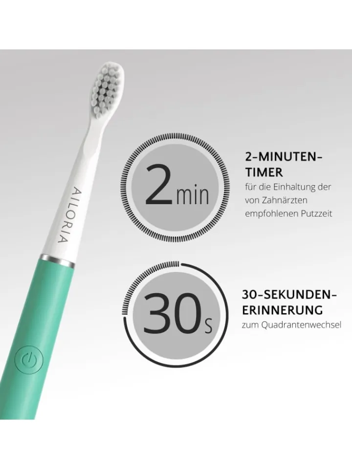Ailoria Zahn & Mundpflege<PRO SMILE Schallzahnbürste USB in Mint