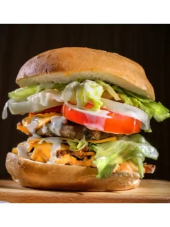RADOLEO Grillen<Profi Burgerpresse Edelstahl in silber