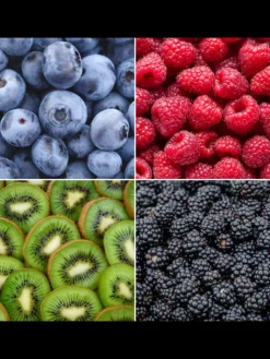 NatureNest Pflanzen & Zubehör<Sommerfrüchte BIO-Obstpflanzen-Mix-Set mit 4 verschiedenen Sorten