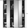 xonox.home Badezimmermöbel<Spiegelschrank in Nox Oak Nachbildung/Spiegelglas - (B) 60 x (H) 77 x (T) 18