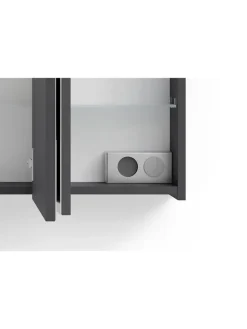 byLiving Badezimmermöbel<Spiegelschrank SPREE in anthrazit - B 100, H 60, T 20 cm