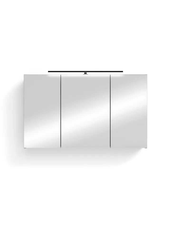 byLiving Badezimmermöbel<Spiegelschrank SPREE in anthrazit - B 100, H 60, T 20 cm