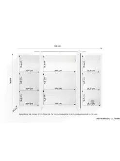 byLiving Badezimmermöbel<Spiegelschrank SPREE in weiß - B 100, H 60, T 20 cm