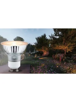 paulmann Leuchtmittel<Standard 230V LED Reflektor Insektenfreundlich F