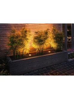 paulmann Leuchtmittel<Standard 230V LED Reflektor Insektenfreundlich F