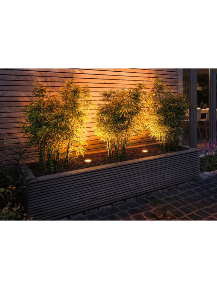 paulmann Leuchtmittel<Standard 230V LED Reflektor Insektenfreundlich F