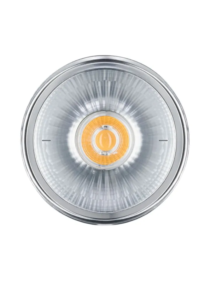 paulmann Leuchtmittel<Standard 12V LED Reflektor G