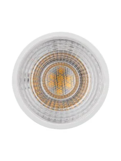 paulmann Leuchtmittel<Standard 12V LED Reflektor G