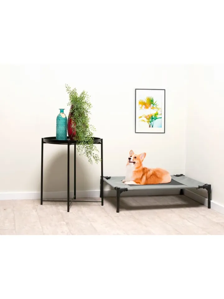 Edco Hunde<Tierbett in Grau - (B)81 x (H)17 x (T)63,5 cm
