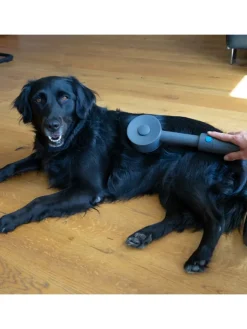 Livington Staubsauger<Tierhaar Bürstenset Sense IQ in Grau