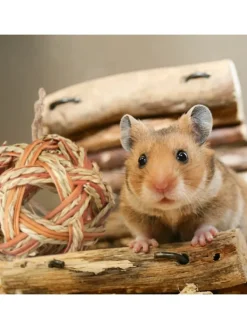 relaxdays Kleintiere<5-tlg. Hamsterzubehör Set in Natur