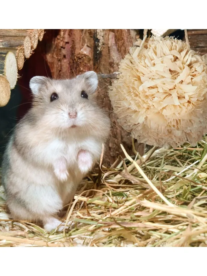 relaxdays Kleintiere<5-tlg. Hamsterzubehör Set in Natur