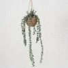 Boltze Kerzen, Vasen & Mehr<Topfpflanze "Eukalyptus" in Grün/ Hellbraun - (H)78 cm