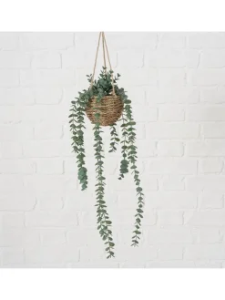 Boltze Kerzen, Vasen & Mehr<Topfpflanze "Eukalyptus" in Grün/ Hellbraun - (H)78 cm
