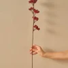 BELLA MAISON Kerzen, Vasen & Mehr<Trockenpflanze "Christmas Dal" in Rot - (H)75 cm