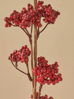 BELLA MAISON Kerzen, Vasen & Mehr<Trockenpflanze "Christmas Dal" in Rot - (H)75 cm