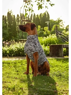 Paikka Hunde<UV&Bug-Hundeshirt in Schwarz-Weiß