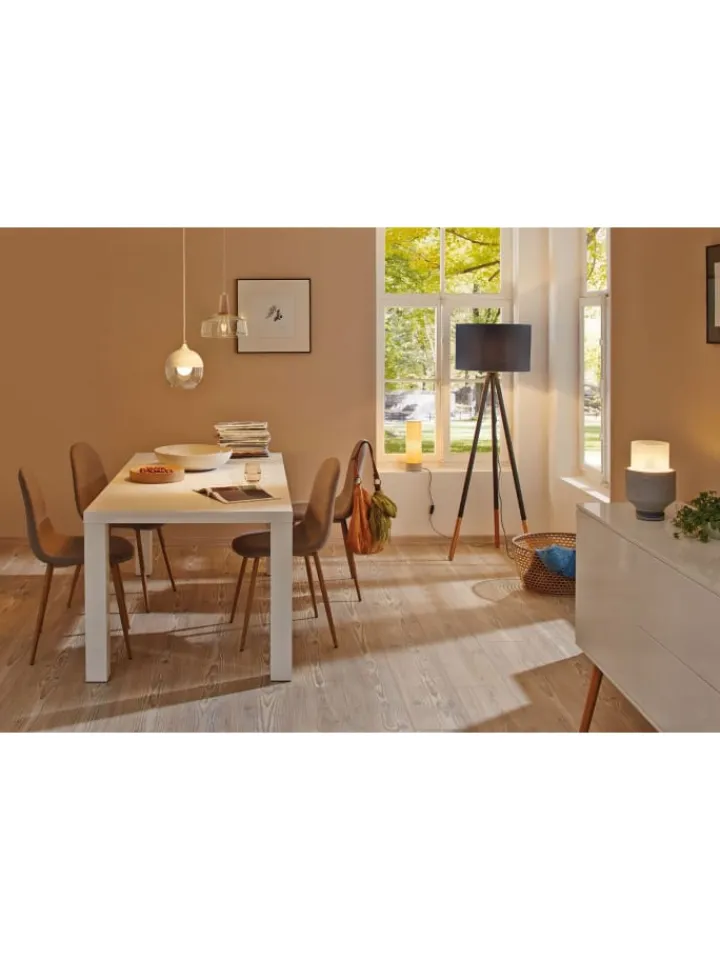 paulmann Leuchtmittel<Vintage Edition Standard 230V LED Birne F