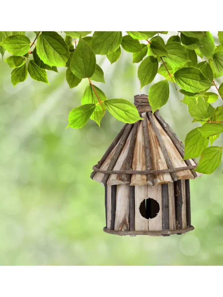 relaxdays Vögel<Vogelhaus Nistkasten in Natur